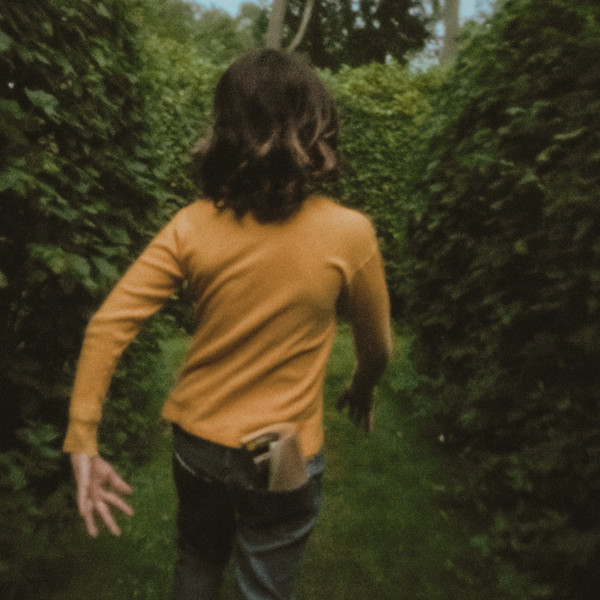 In and Out of the Hornbeam Maze