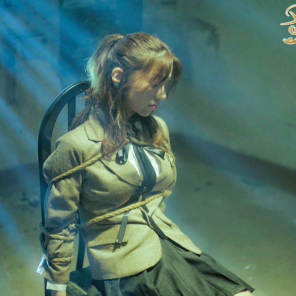 His Highness Fox Lord Falls in Love