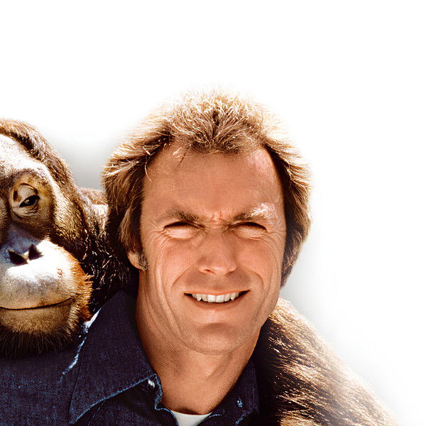 Any Which Way You Can