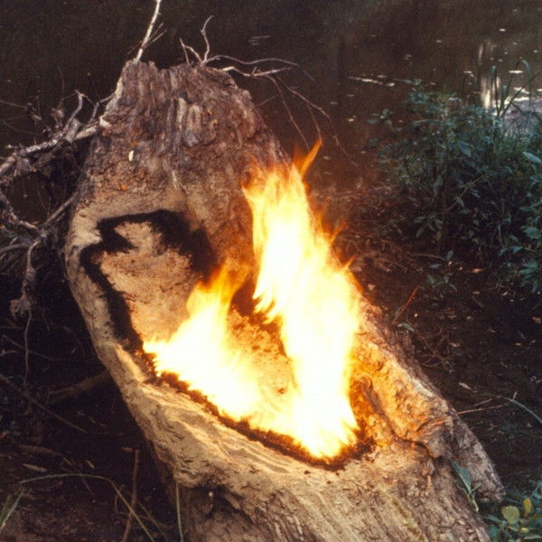 Ana Mendieta: Fuego de Tierra