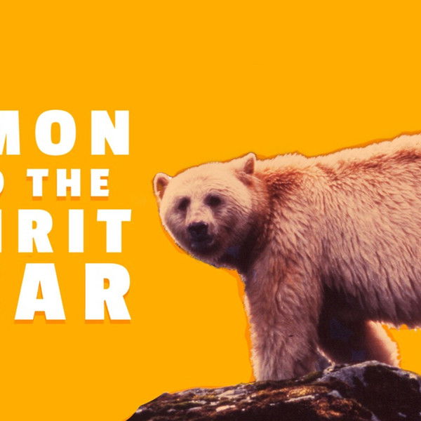 Simon and the Spirit Bear