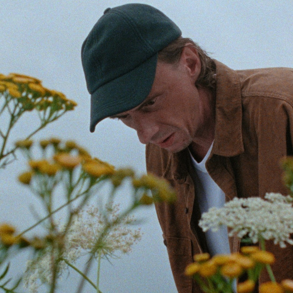 A Beautiful Wildflower Meadow