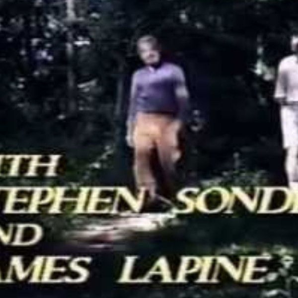 Into the Woods: A Conversationpiece