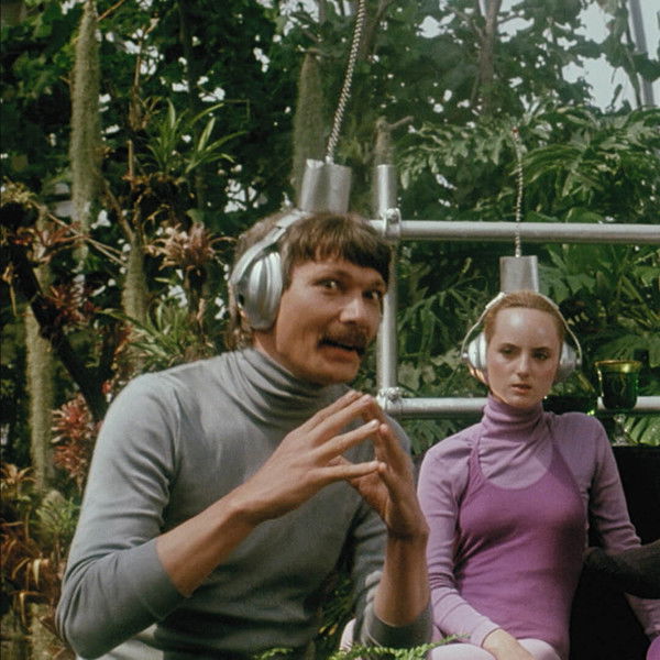 Warum die UFOs unseren Salat klauen