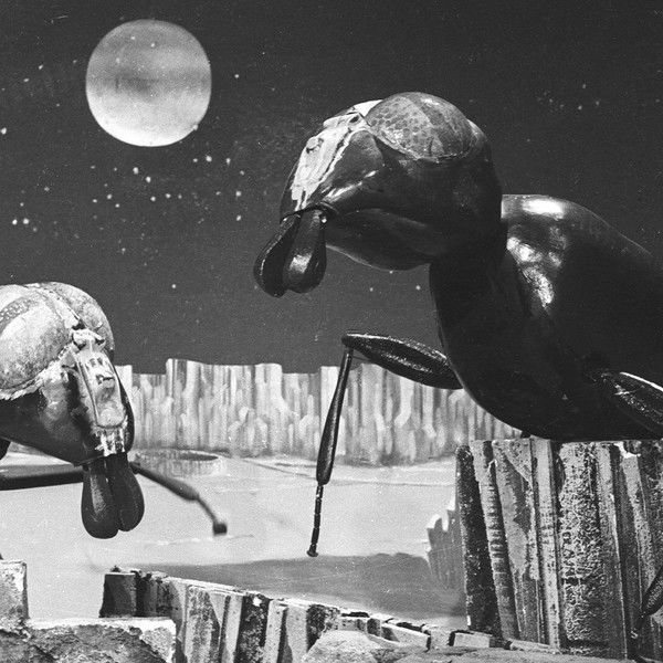 Doctor Who: The Web Planet