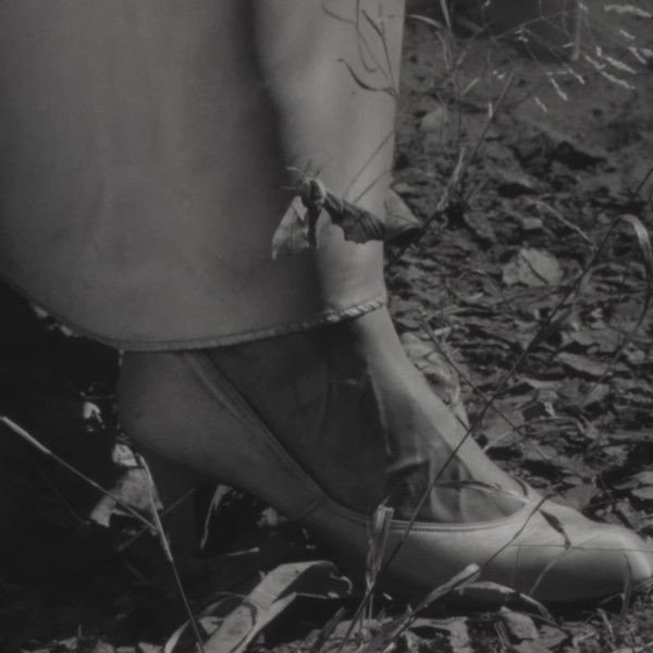 The Toadman of Topanga