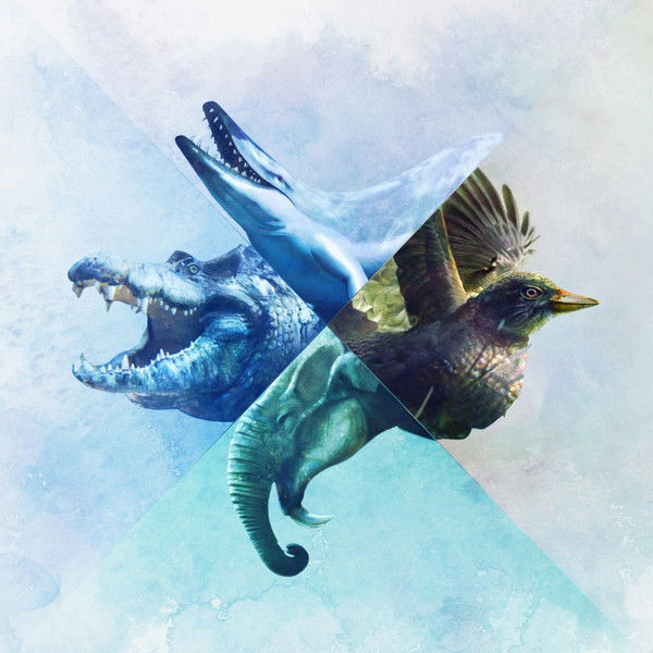 When Whales Walked: Journeys in Deep Time