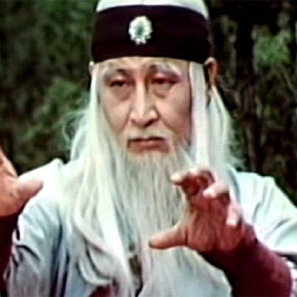 The Divine Martial Arts Of Dharma