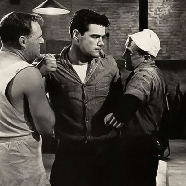 Seagulls Over Sorrento