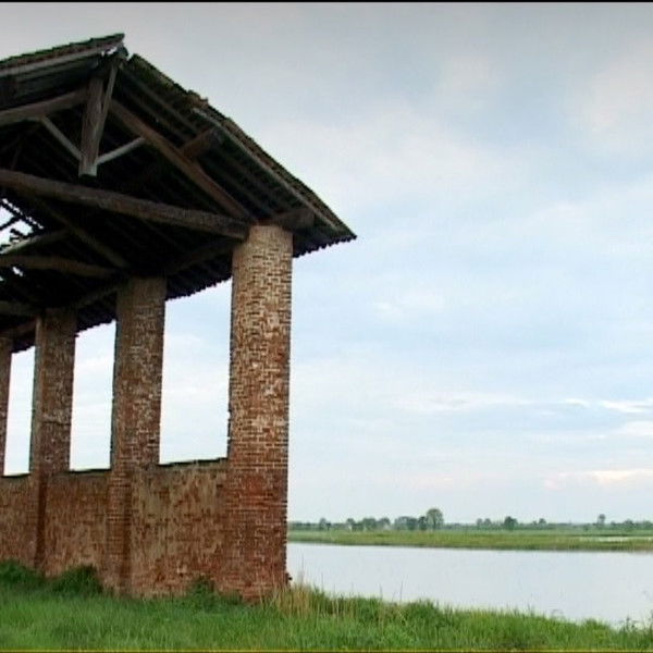 Visioni di case che crollano