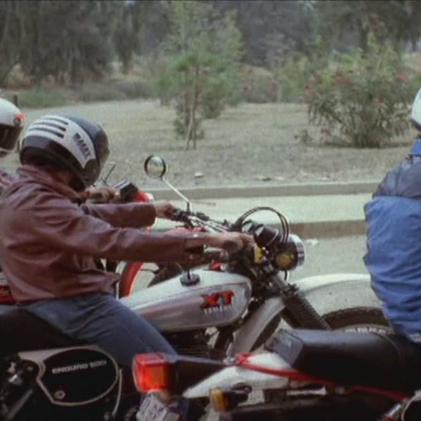 Τα Τσακάλια