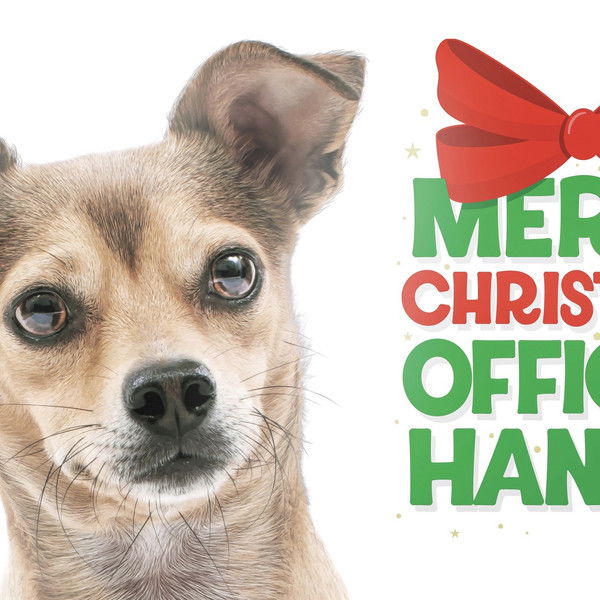 Merry Christmas Officer Hansel