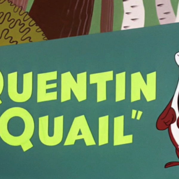 Quentin Quail