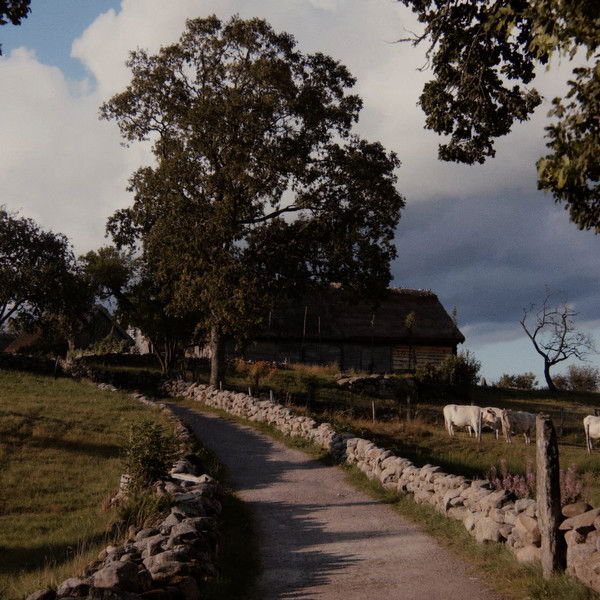 Äskhult - The Eternal Place