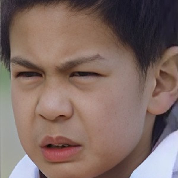 Haan Lee