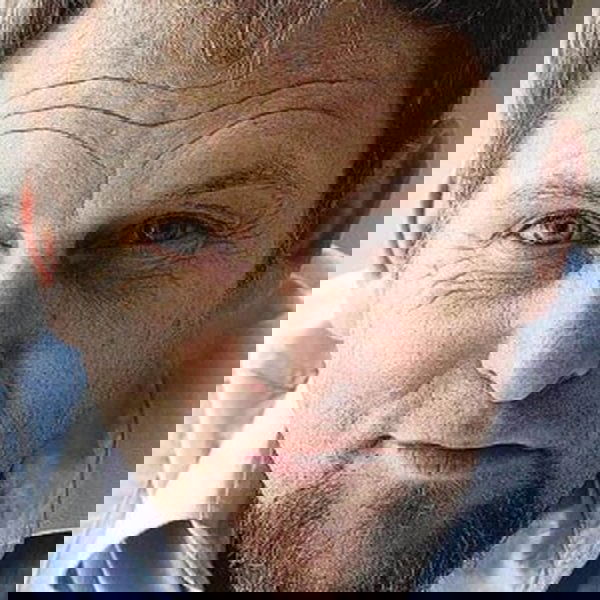 Steve Hofmeyr