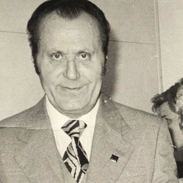 Mladen 'Mlađa' Veselinović