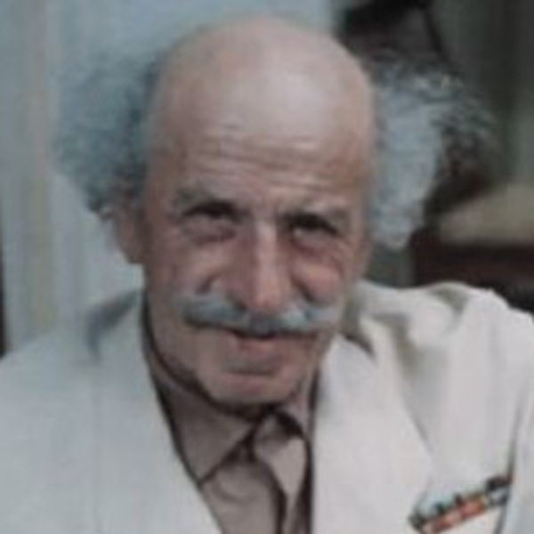 Mikheil Vashadze