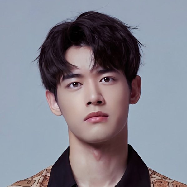Liu Dongqin