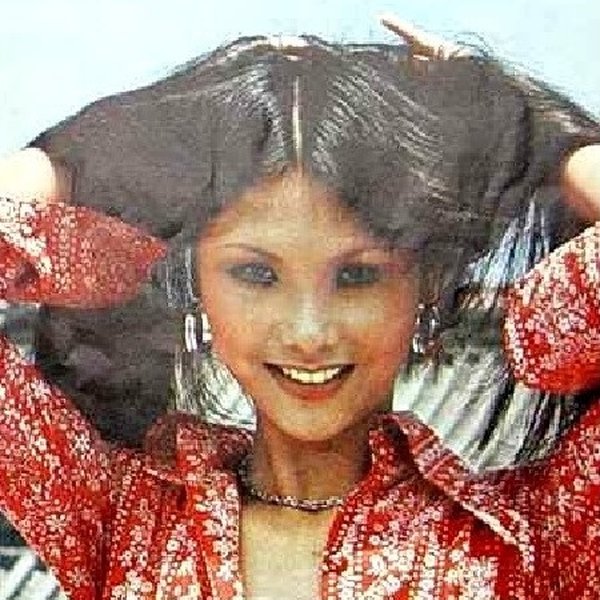 Fan Lei