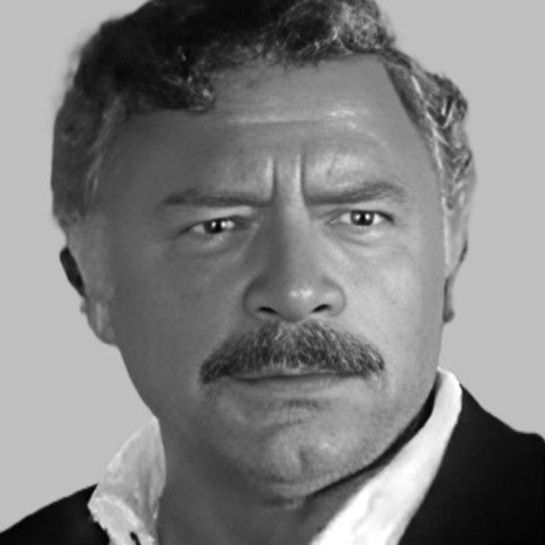 Nikša Stefanini
