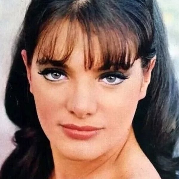 Sylvia Sorrente