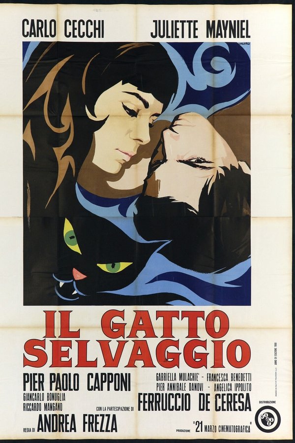 Il Gatto Selvaggio
