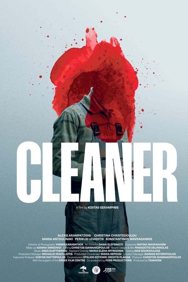 Cleaner