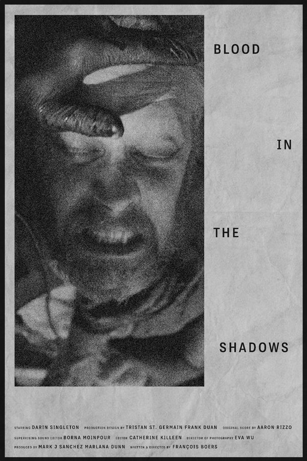 Blood In The Shadows