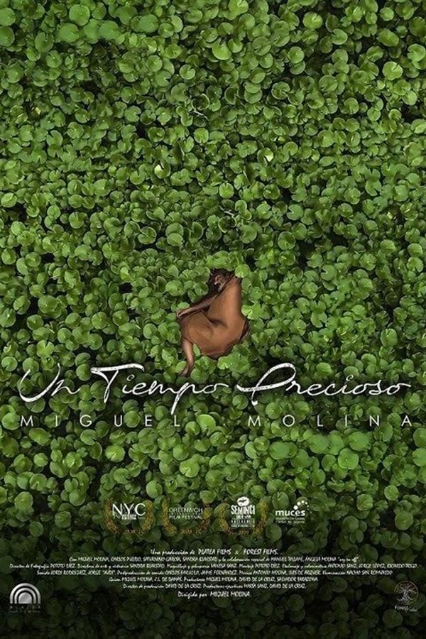 Un Tiempo Precioso