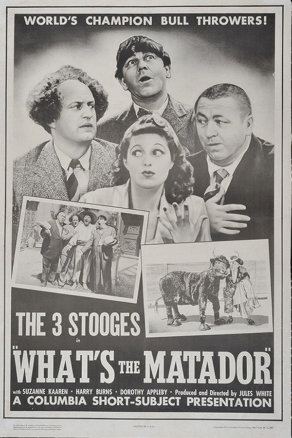 What's The Matador?