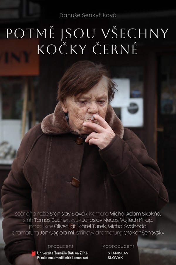 Potmě Jsou Všechny Kočky černé