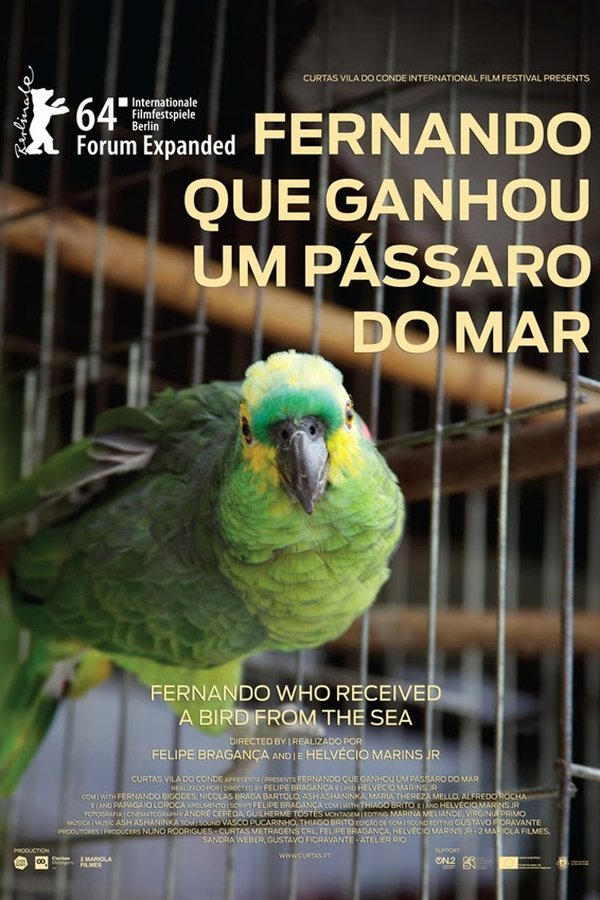 Fernando Que Ganhou Um Pássaro Do Mar