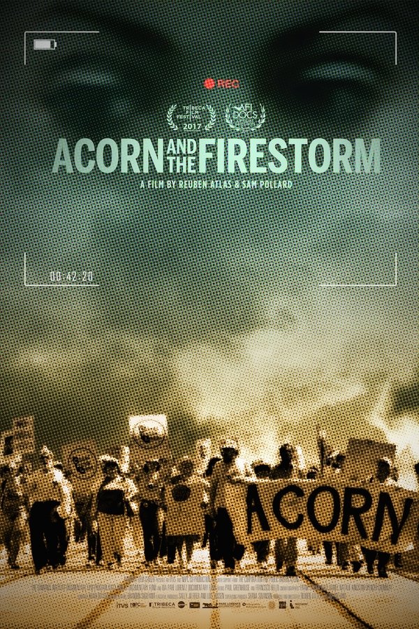 Acorn And The Firestorm