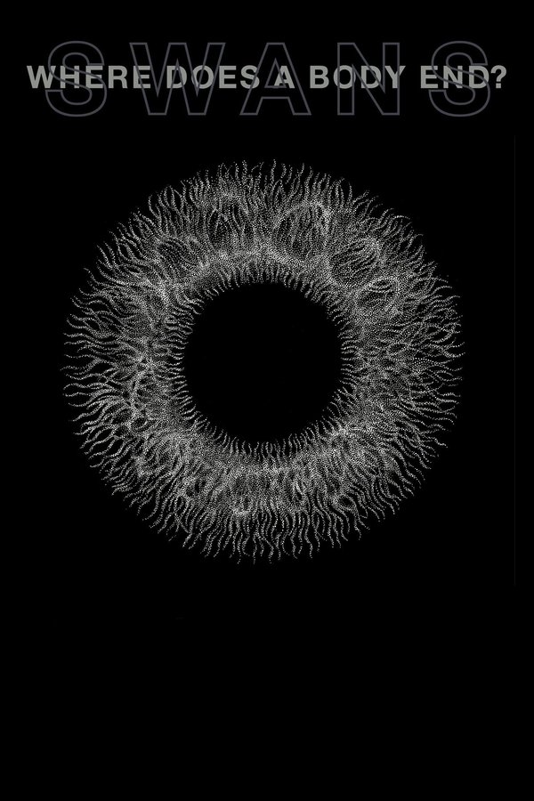 Swans: Where Does A Body End?