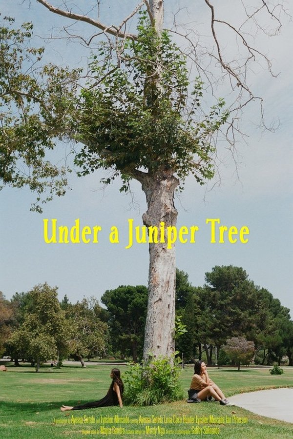 Under A Juniper Tree