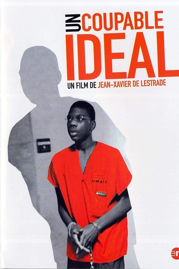 Un Coupable Idéal