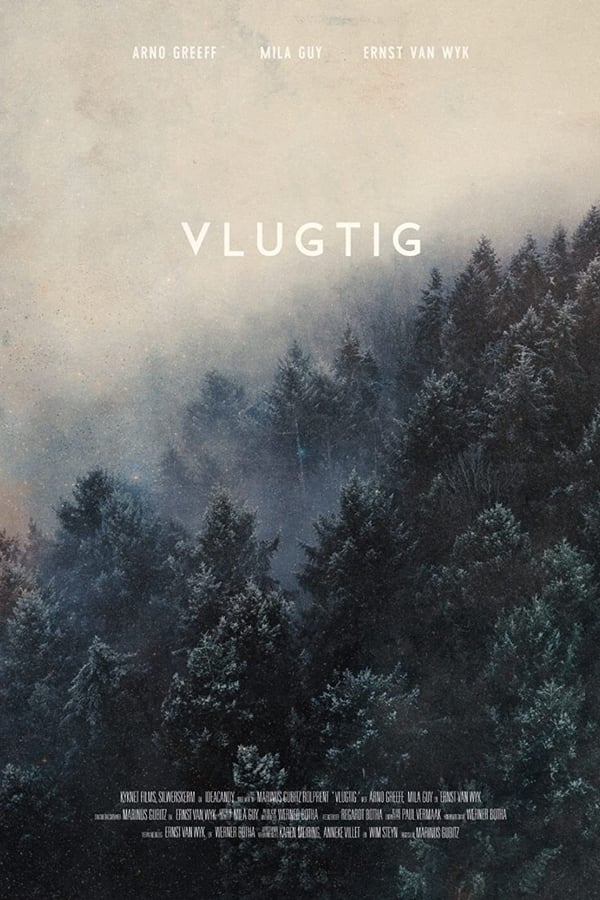 Vlugtig