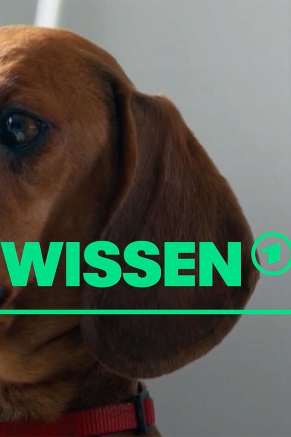 [W] Wie Wissen