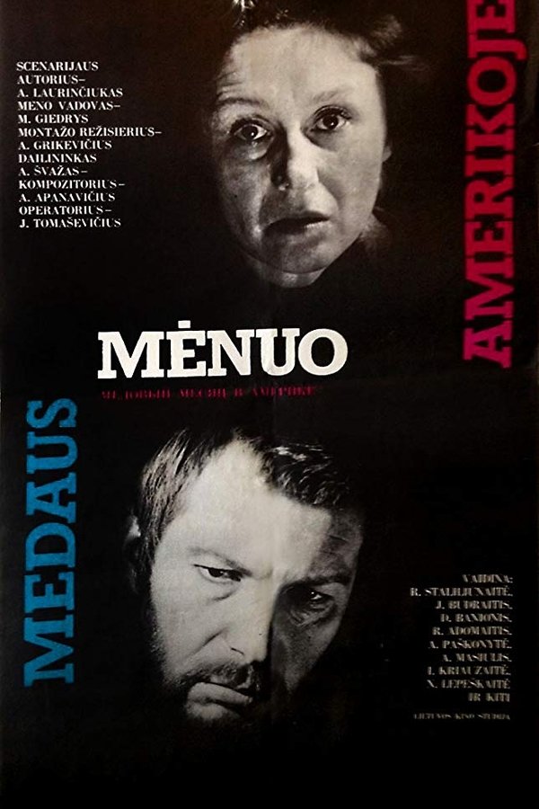Medaus Mėnuo Amerikoje