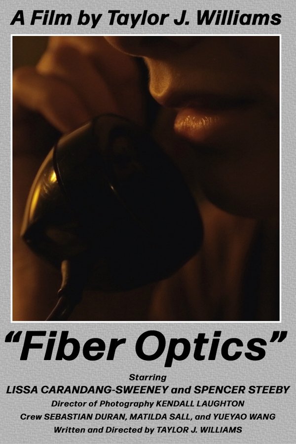 Fiber Optics