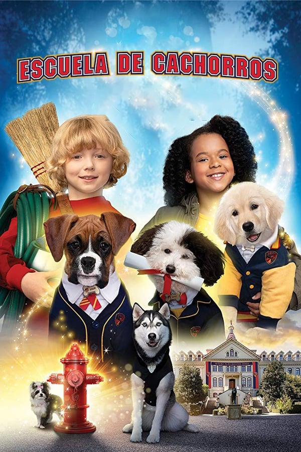 Academia de cachorros