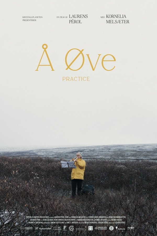 Å øve