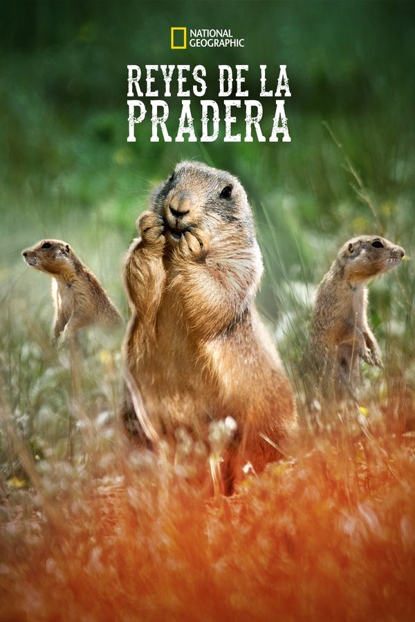 Prairie Dog Manor