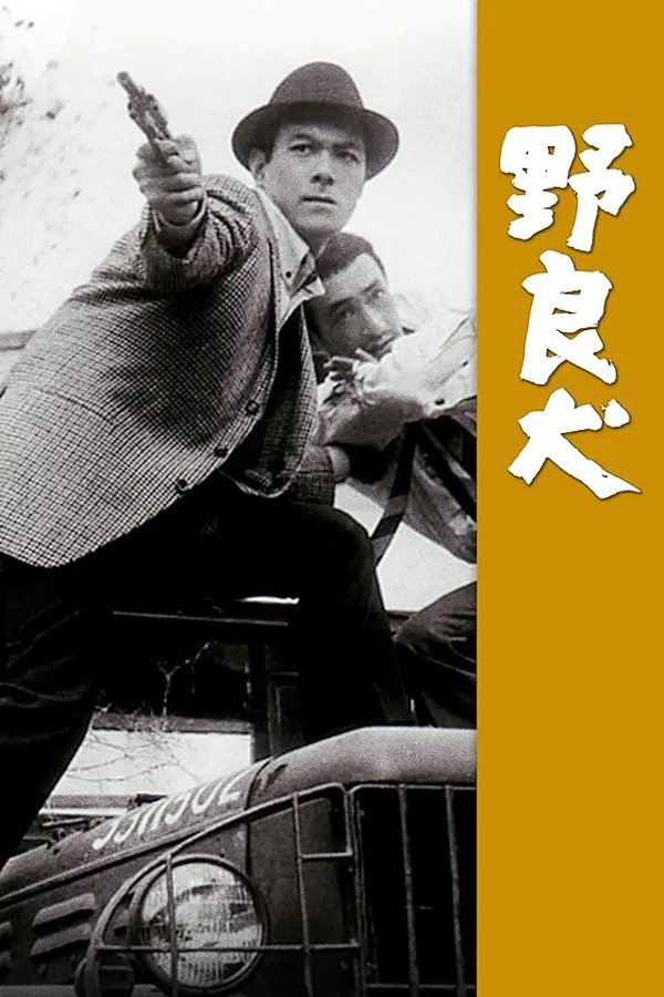 野良犬