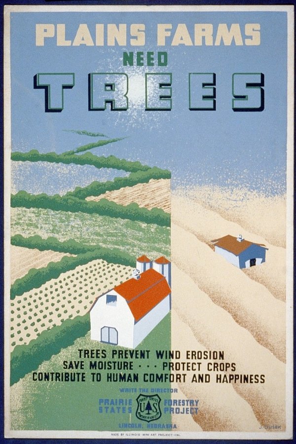 Windbreaks On The Prairies