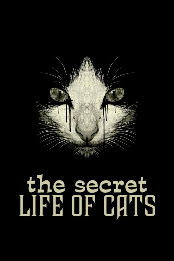 The Secret Life Of Cats