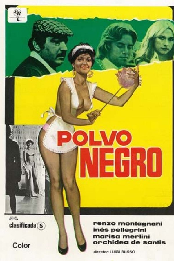 Una Bella Governante Di Colore
