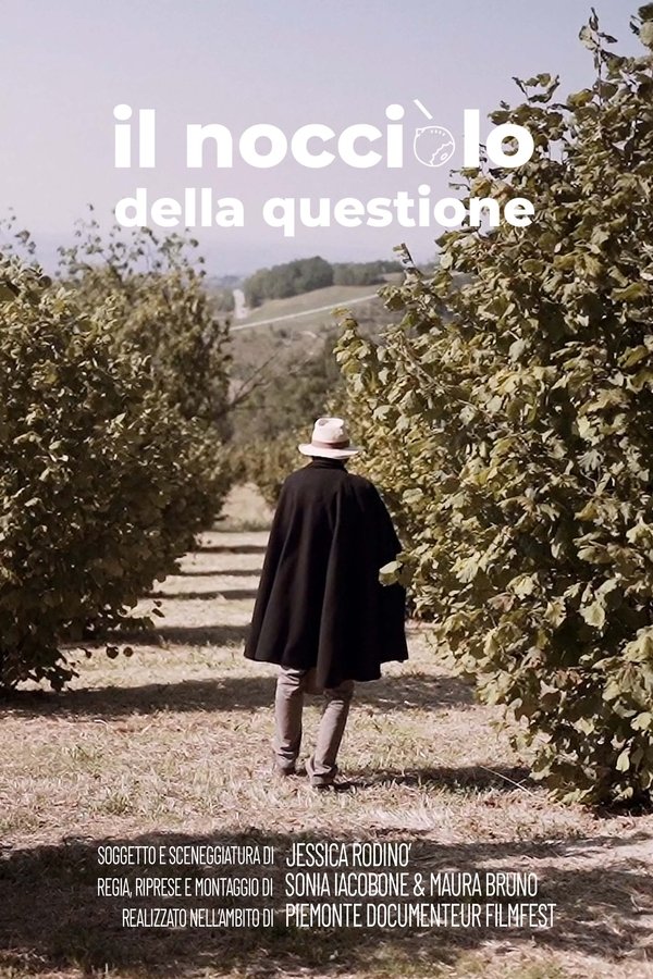 Il Nocciolo Della Questione