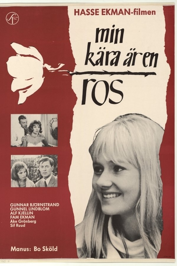 Min Kära är En Ros